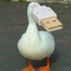 Meet your Posher, Maxton